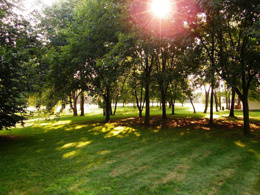 Agriturismo Greppi Crescentino Pokój zdjęcie